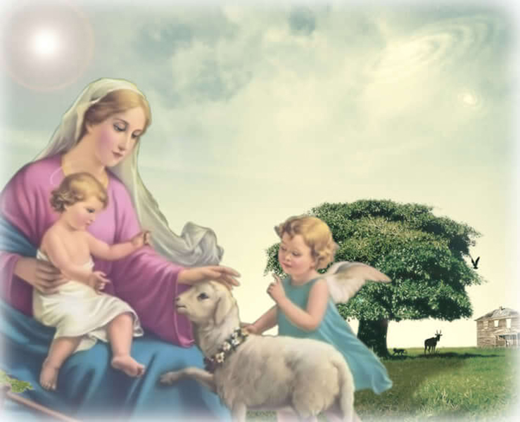 12 Đức Tính Thời Thơ Ấu Của Mẹ Maria- Đức Mẹ Maria có bao nhiêu tước hiệu- Đức Mẹ Maria
