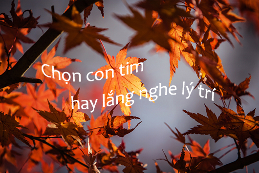 Lý trí và con tim - Vấn nạn - Sinh Viên Công Giáo