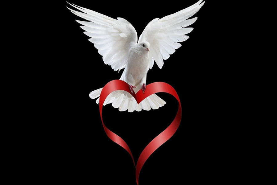 chứng thật nhất