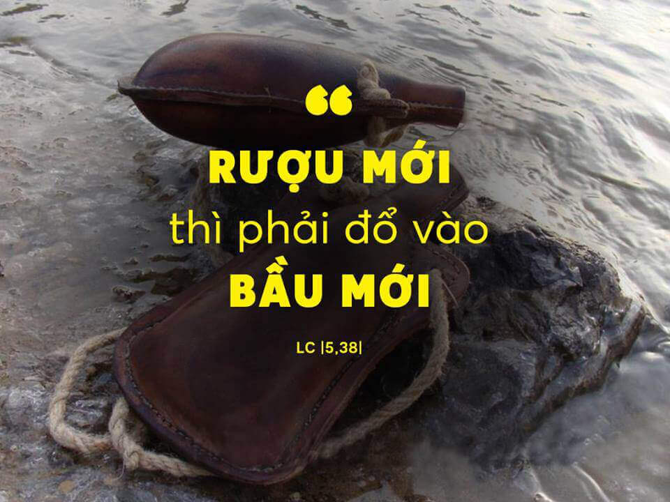 rượu mới bầu da mới (1)