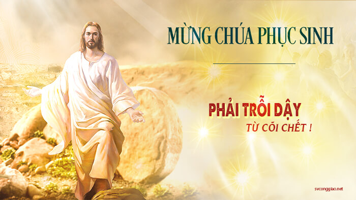 Phải trỗi dậy từ cõi chết ! 