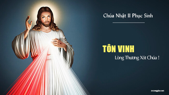 Tôn vinh lòng thương xót Chúa ! 