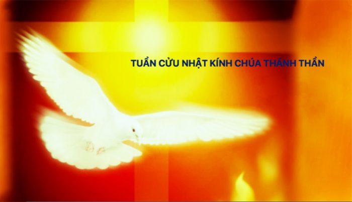 tuan-cuu-nhat-kinh-Chua-Thanh-Than - Sinh Viên Công Giáo