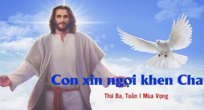 Con xin ngợi khen Cha !