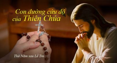 Con đường cứu độ của Thiên Chúa