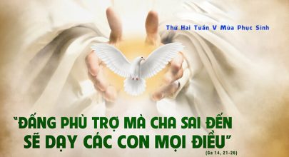 Anh em hãy yêu mến Thiên Chúa !
