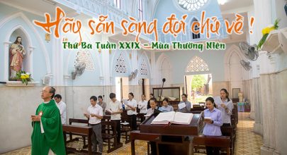 Hãy sẵn sàng đợi chủ về !