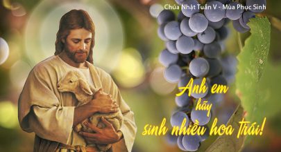 Anh em hãy sinh nhiều hoa trái !