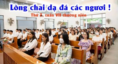 Lòng chai dạ đá các ngươi !