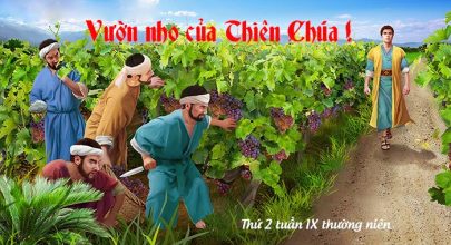 Vườn nho của Thiên Chúa !