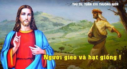 Người gieo và hạt giống !