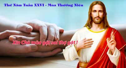Xin Chủ mùa gặt sai thợ gặt !