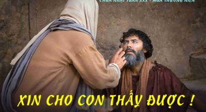 Xin cho con thấy được !