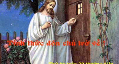 Tỉnh thức đón chủ trở về !