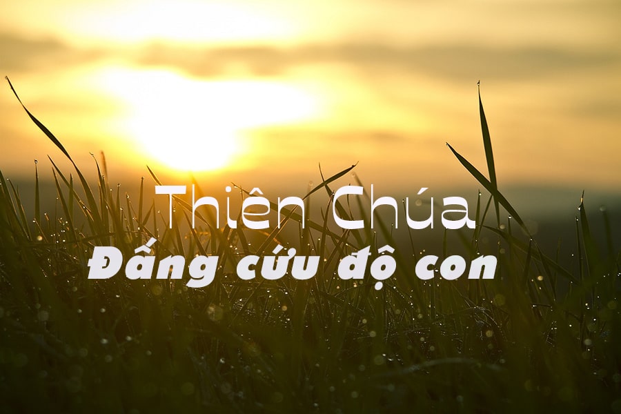 Tự sát bất thành phần III