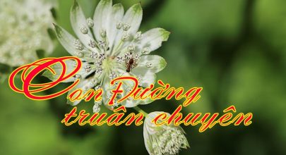 Con đường truân chuyên - Phần I