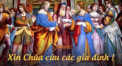 Xin Chúa cứu các gia đình !