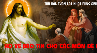 ho-ve-bao-tin-cho-cac-mon-de