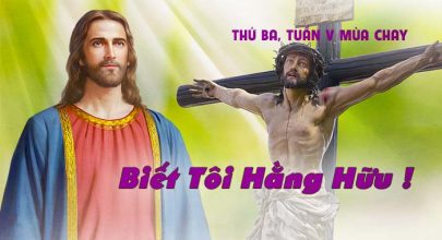 biet-toi-hang-huu