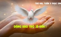Đấng Bảo Trợ Sẽ Đến !