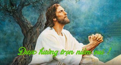 Được hưởng trọn niềm vui !