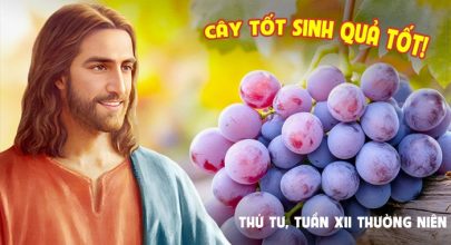 Cây tốt sinh quả tốt !