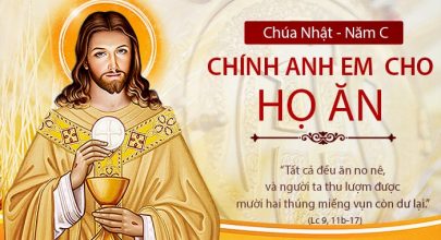 Chính anh em cho họ ăn!