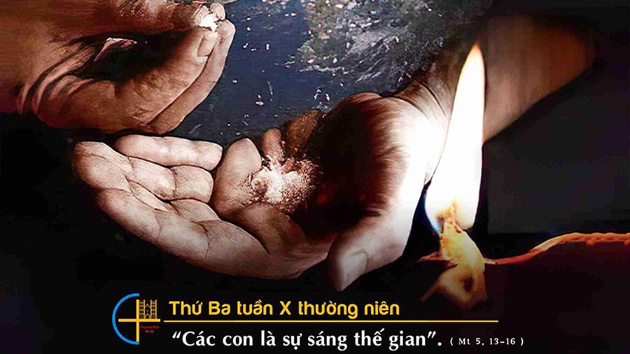 Muối - Ánh sáng cho đời !