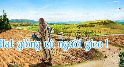 Hạt giống và người gieo !