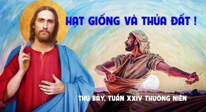 Hạt giống và thửa đất !