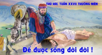 De-duoc-song-doi-doi