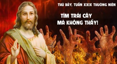 Tìm trái cây mà không thấy !