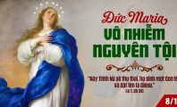 Mẹ vô nhiễm nguyên tội !