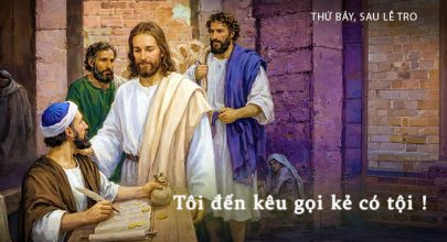 Tôi đến kêu gọi kẻ có tội !