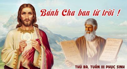 Bánh Cha ban từ trời !