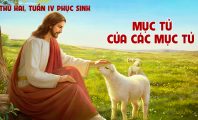 Mục Tử của các mục tử !