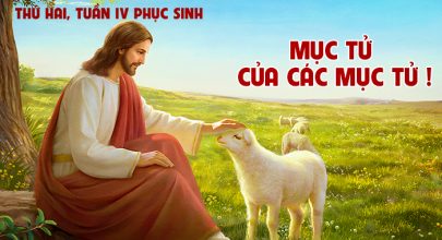 Mục Tử của các mục tử !