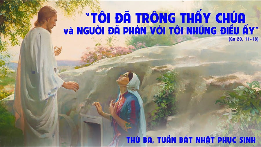 Tôi đã thấy Chúa !