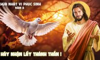 Hãy nhận lấy Thánh Thần !