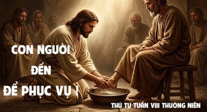 Con Người đến để phục vụ