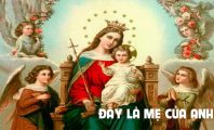 Đây là Mẹ của anh !