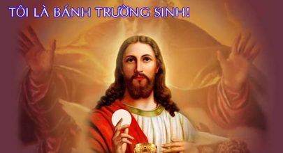 Tôi là Bánh Trường Sinh !