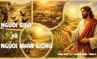 Người gieo và người nhận giống