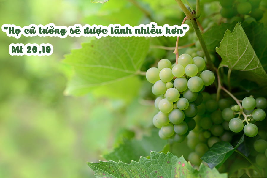 Logic của Thiên Chúa