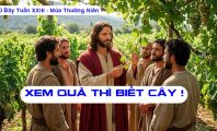 Xem quả thì biết cây