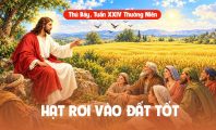 Hạt rơi vào đất tốt