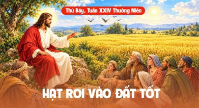Hạt rơi vào đất tốt