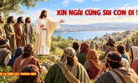 Xin Ngài cũng sai con đi !