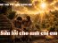 Sửa lỗi cho anh chị em