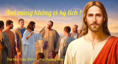 Vui mừng không vì kỳ tích !
